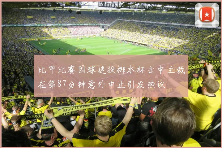 比甲比赛因球迷投掷水杯击中主裁在第87分钟意外中止引发热议