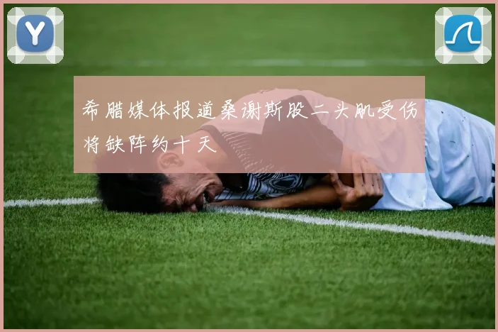 希腊媒体报道桑谢斯股二头肌受伤将缺阵约十天